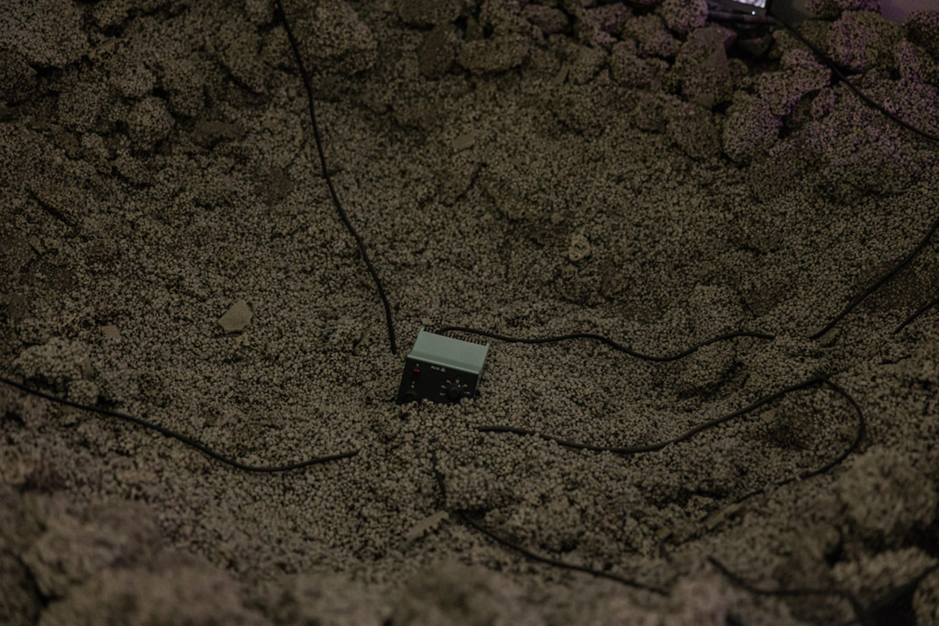 Test project image 1