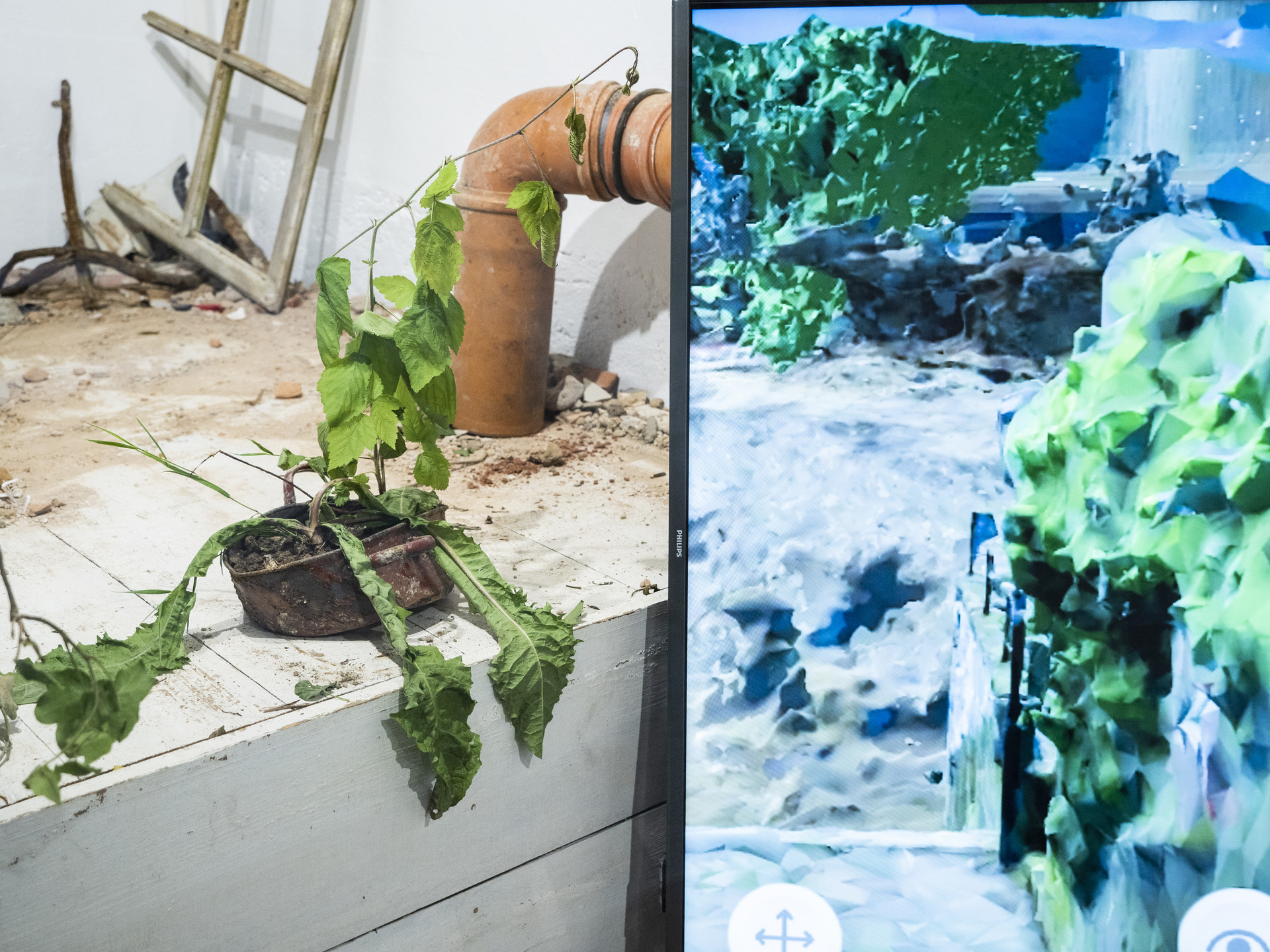 Test project image 4