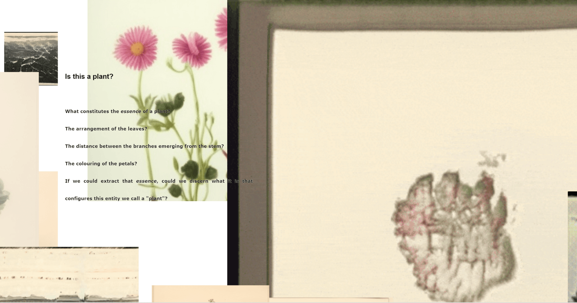 Test project image 1